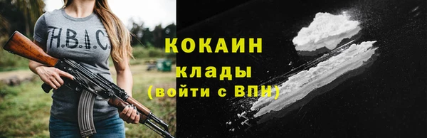 индика Зерноград
