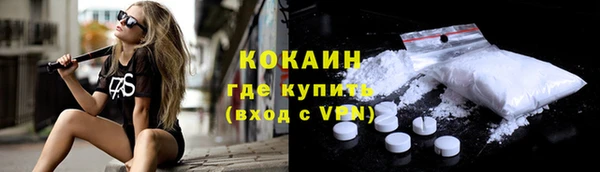 индика Зерноград