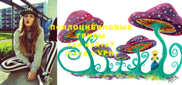 ГАЛЛЮЦИНОГЕННЫЕ ГРИБЫ Зеленокумск
