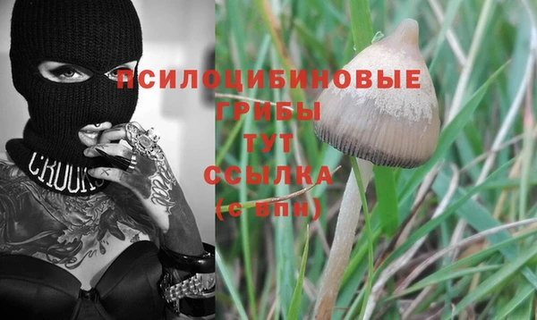 ГАЛЛЮЦИНОГЕННЫЕ ГРИБЫ Зеленокумск