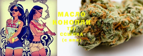индика Зерноград