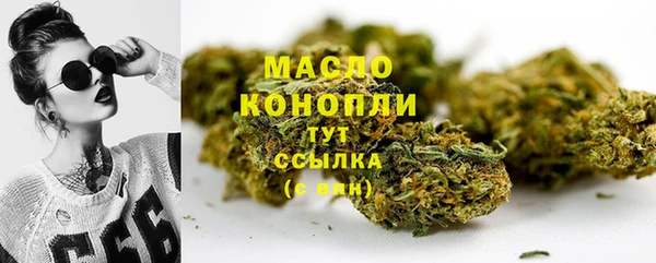 индика Зерноград