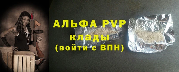 индика Зерноград