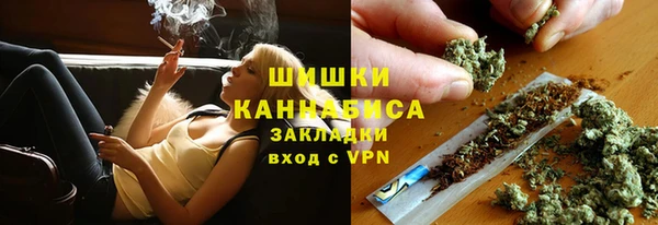 индика Зерноград