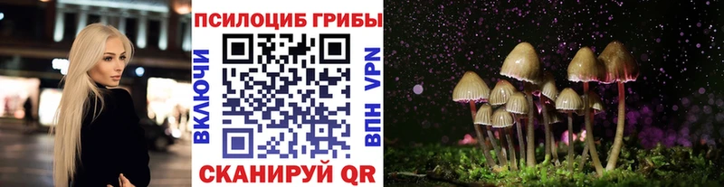 Галлюциногенные грибы ЛСД  Купить закладки  Курчалой 