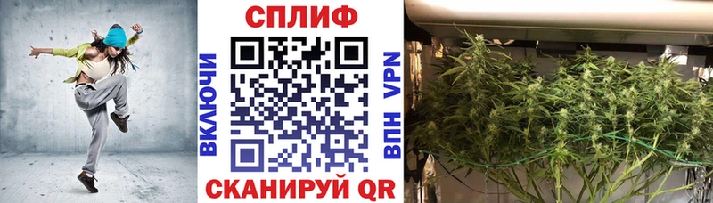 Купить  Курчалой  Бошки Шишки SATIVA & INDICA 